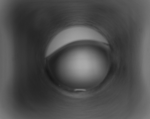 X0000101390028200807071207