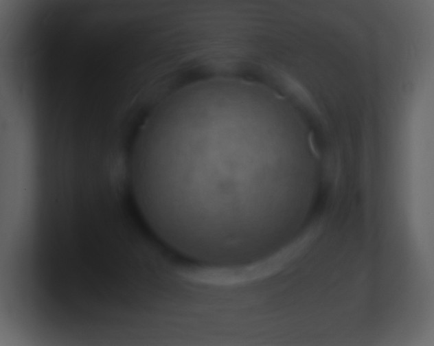 X0000101390029200807071207