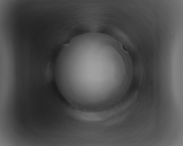 X0000101390030200807071207