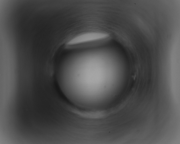 X0000101390032200807071207