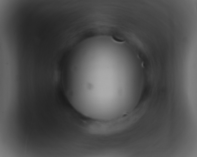 X0000101390033200807071207