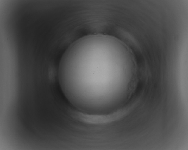 X0000101390034200807071207