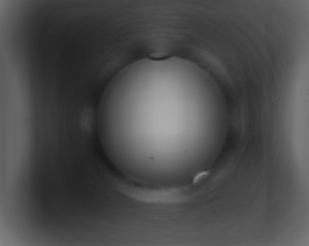 X0000101390036200807071207