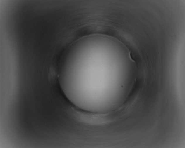 X0000101390040200807071207