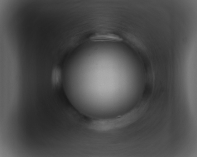 X0000101390041200807071207