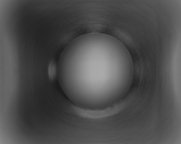 X0000101390042200807071206