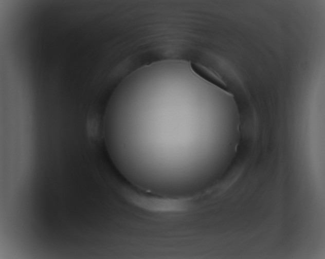 X0000101390044200807071206