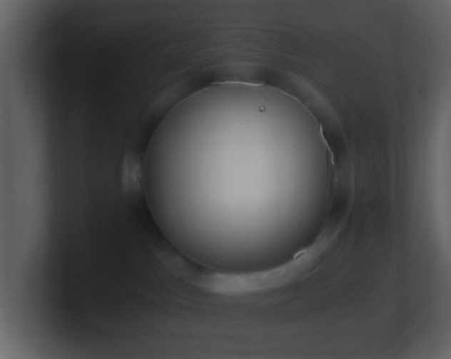 X0000101390045200807071206