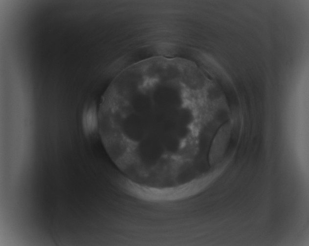 X0000101390046200807071206