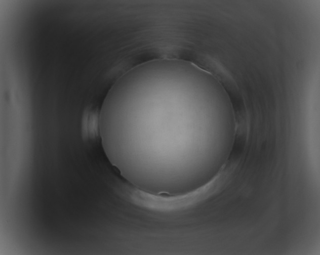 X0000101390047200807071206