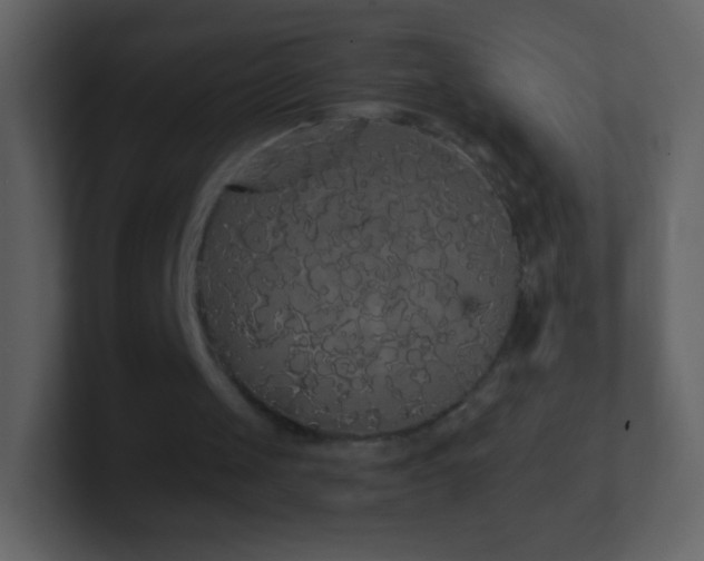 X0000101390049200807071206