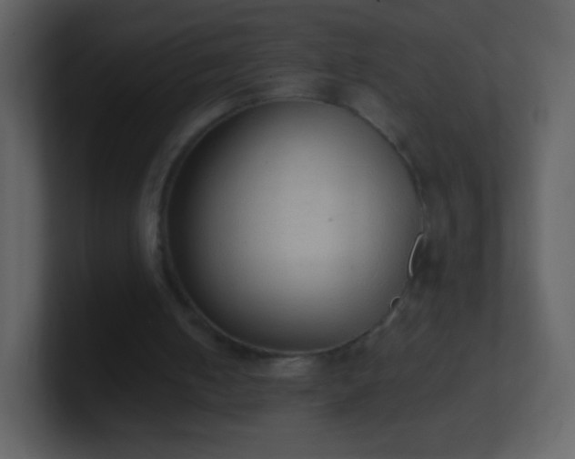 X0000101390050200807071206