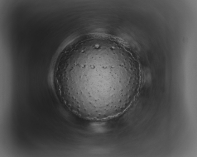 X0000101390051200807071206