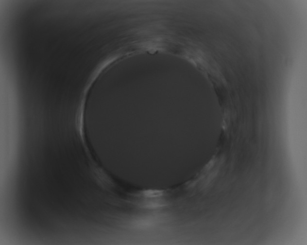 X0000101390052200807071206