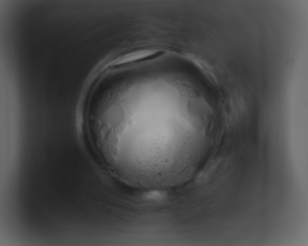 X0000101390053200807071206