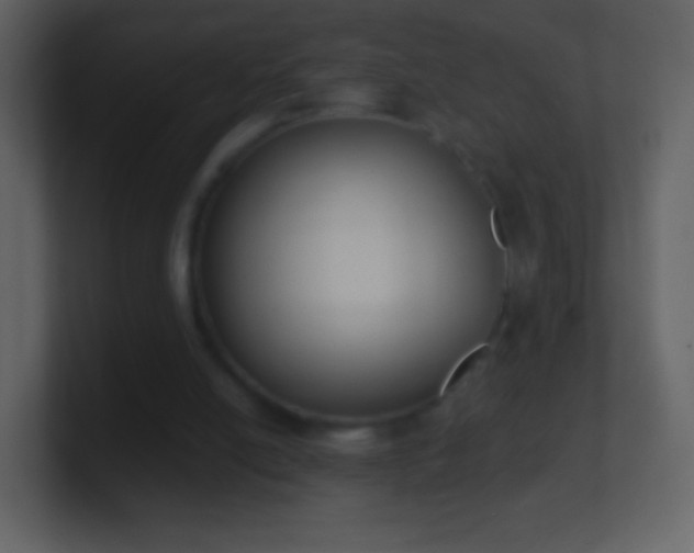 X0000101390054200807071206