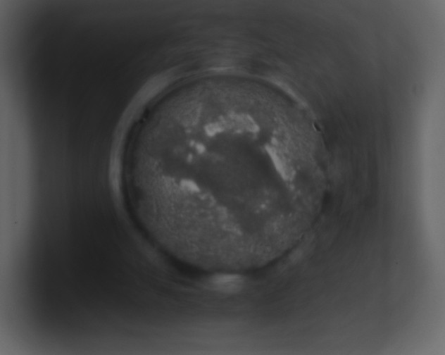 X0000101390055200807071206