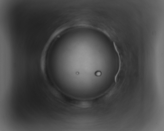 X0000101390056200807071206