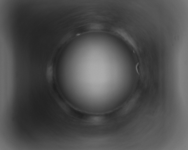 X0000101390057200807071206