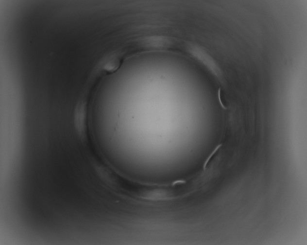 X0000101390058200807071206