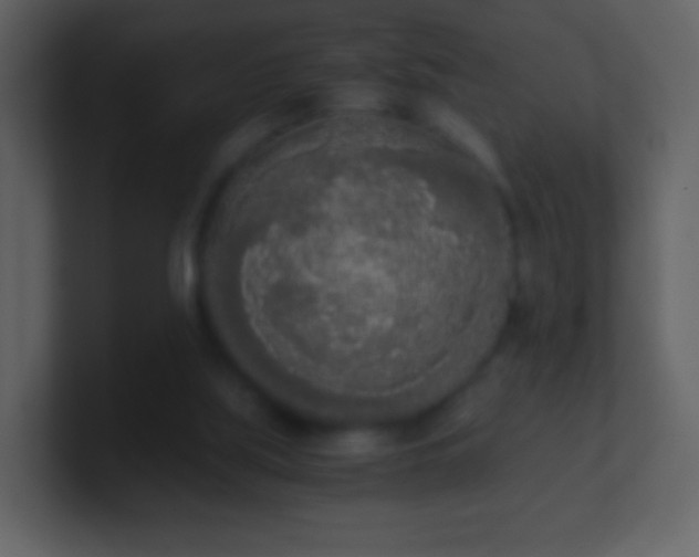 X0000101390059200807071206