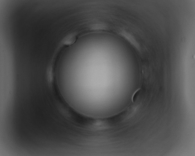 X0000101390060200807071206