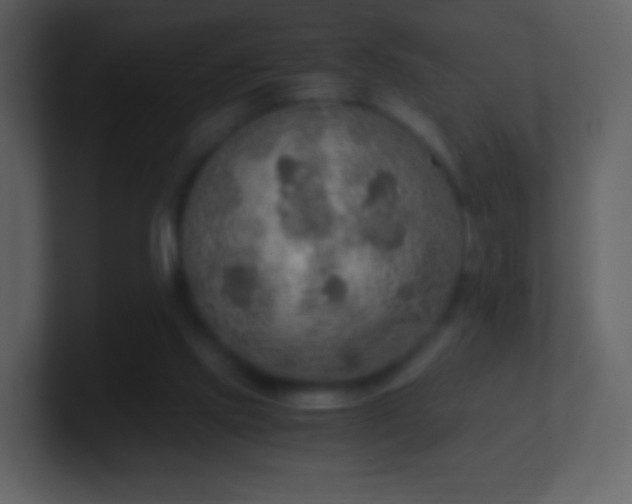 X0000101390061200807071206