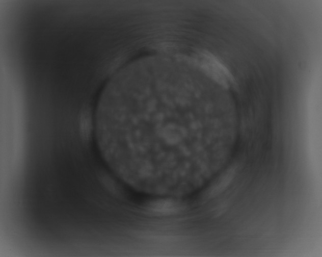 X0000101390065200807071206