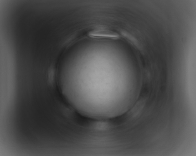 X0000101390066200807071206