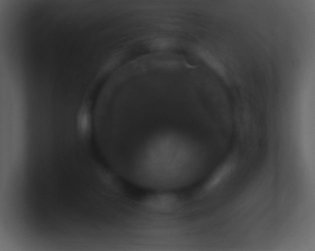 X0000101390067200807071206