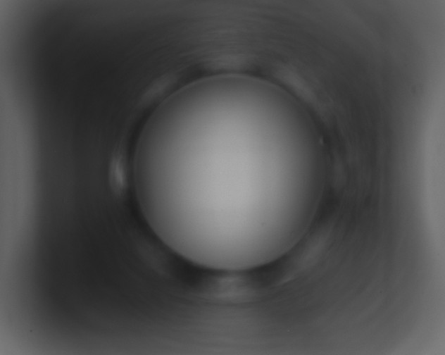 X0000101390068200807071206