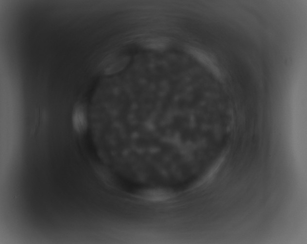 X0000101390069200807071206