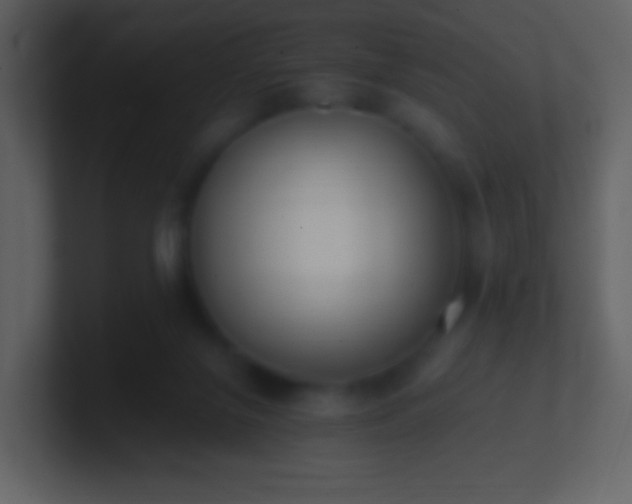 X0000101390071200807071206