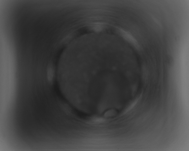 X0000101390073200807071206