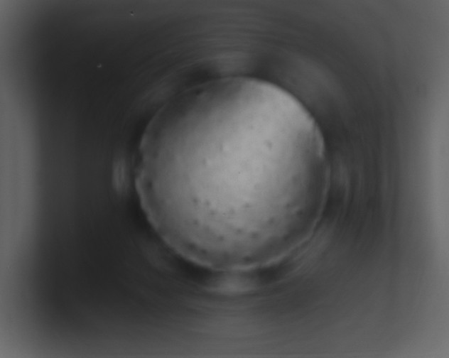 X0000101390074200807071206