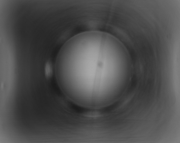 X0000101390075200807071206