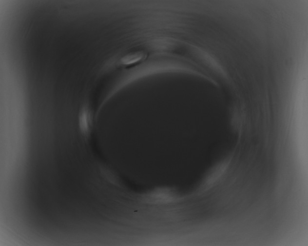 X0000101390076200807071206