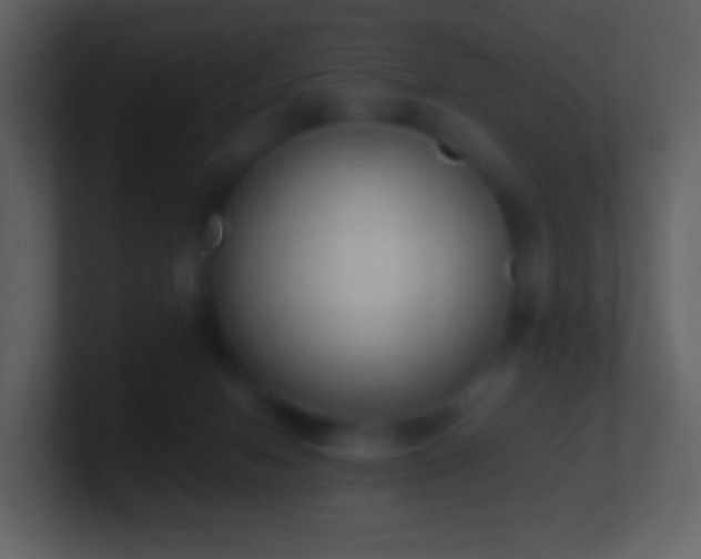 X0000101390078200807071206