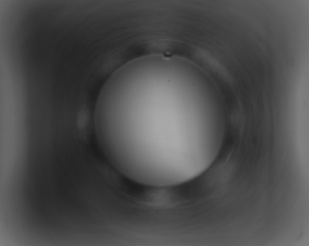 X0000101390079200807071206