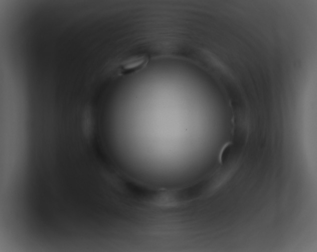 X0000101390080200807071206