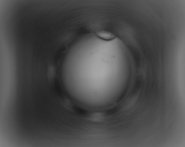 X0000101390081200807071206