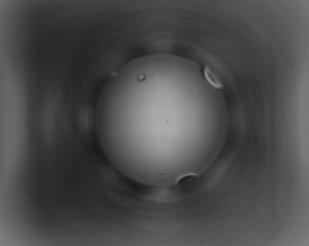 X0000101390083200807071206