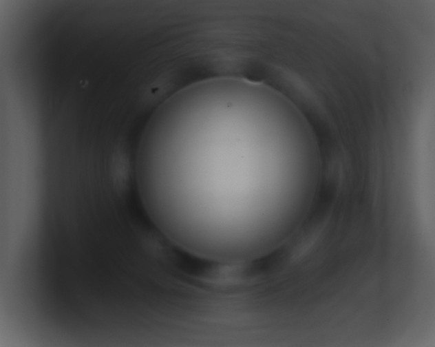 X0000101390084200807071206