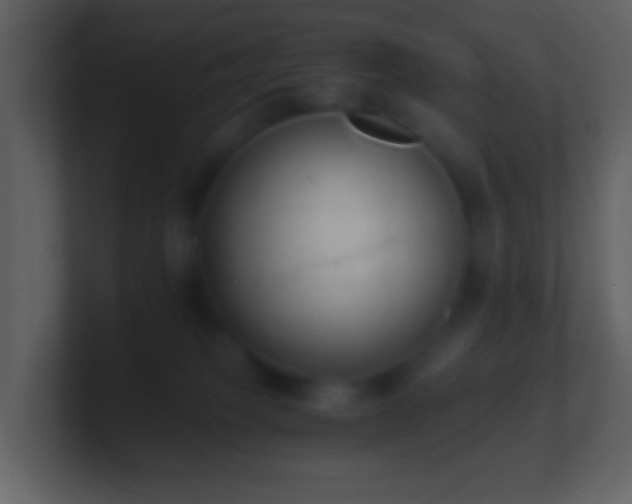 X0000101390085200807071206