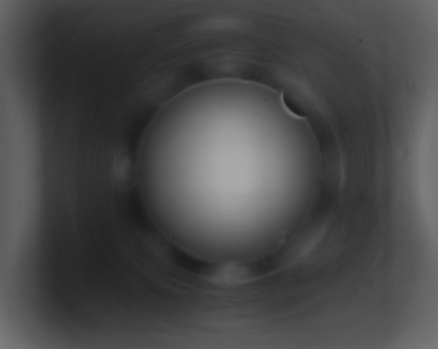 X0000101390087200807071206