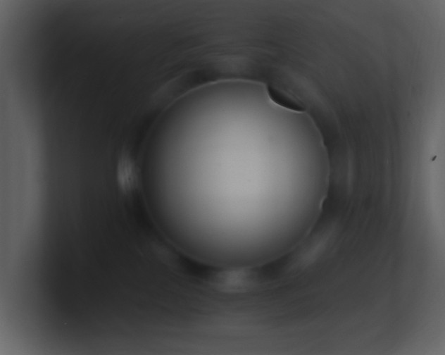 X0000101390089200807071206