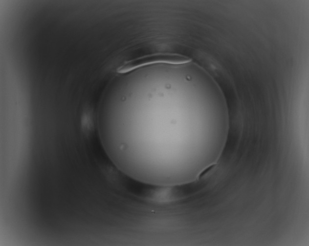 X0000101390090200807071206