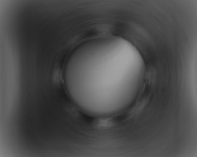 X0000101390093200807071206