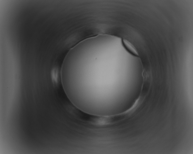 X0000101390094200807071206