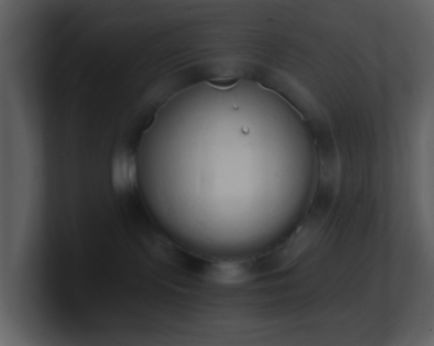 X0000101390095200807071206